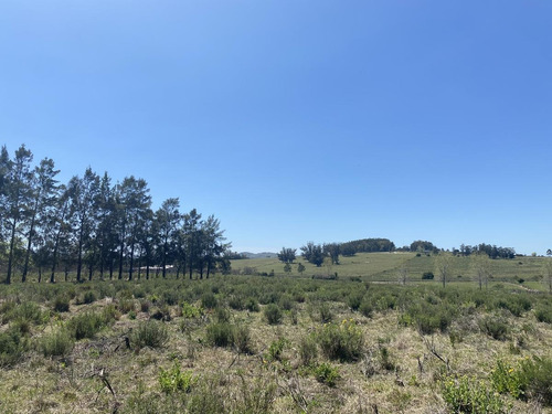 Imagen 7 de 17 de Chacra - Pueblo Edén