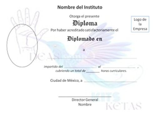 50 Diplomas De Empresa En Papel Opalina Blanco