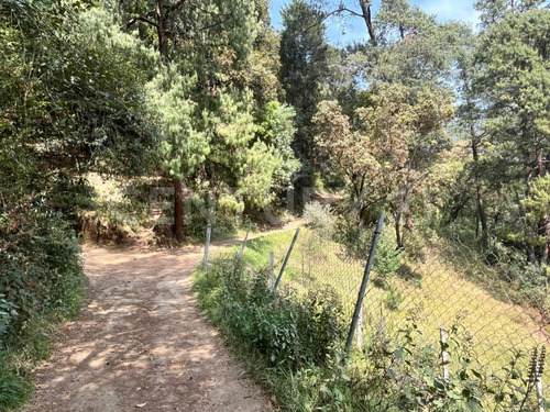 Terrenos Ecológicos En Venta, Santa Rosa Xochiac, Álvaro Obregón, Cdmx