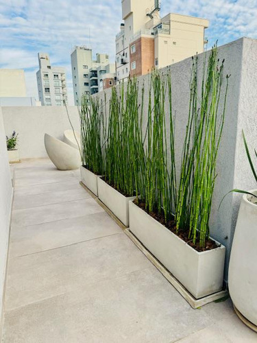 Departamento En Venta 3 Ambientes Ramos Mejía, Balcón Con Parrilla