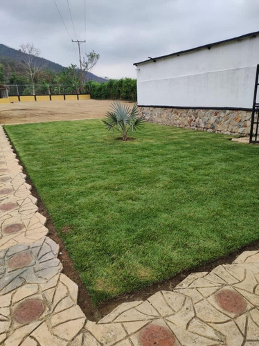 Finca En Bejuma Camino Verde