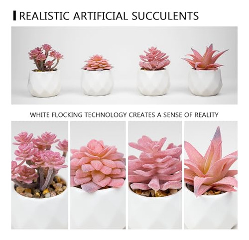 Viverie Plantas Artificiales Suculentas En Macetas
