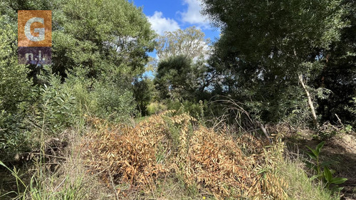 Terreno En Punta Del Este (sauce De Portezuelo) Ref.4479