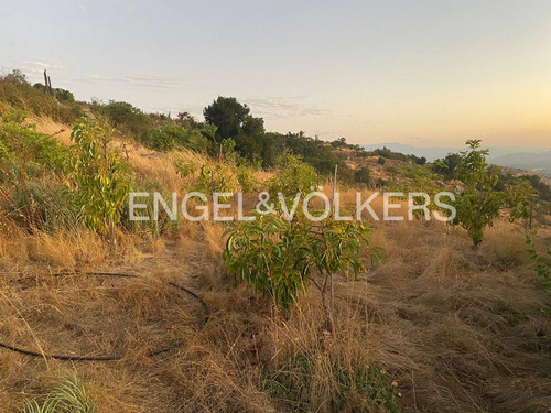 Sitio Condominio Manantiales Copequen