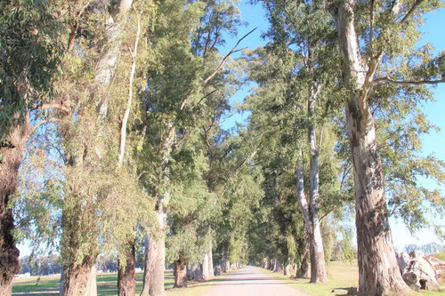 Terreno Lote En Venta Barrio Cerrado Tres Pinos General Rodriguez Financiacion