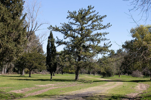 Imagen 27 de 30 de Barrio De Chacras La Pintada Club De Campo Y Polo