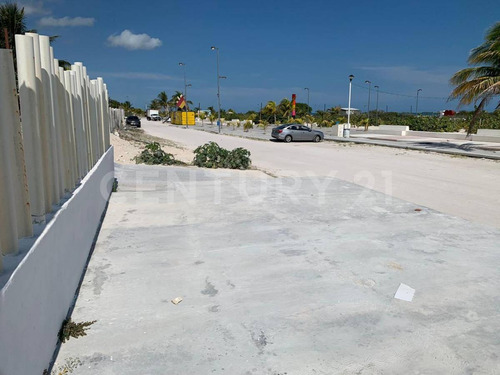 Casa En Renta Ubicada En Progreso En Primera Línea