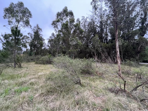 Venta Terreno Camino Eguzquiza 