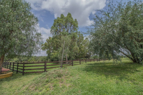 Imagen 19 de 30 de Rancho Morera En Venta, Carretera A Dolores Hidalgo En San M