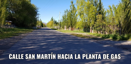 Imagen 12 de 17 de Venta Lote En Los Antiguos