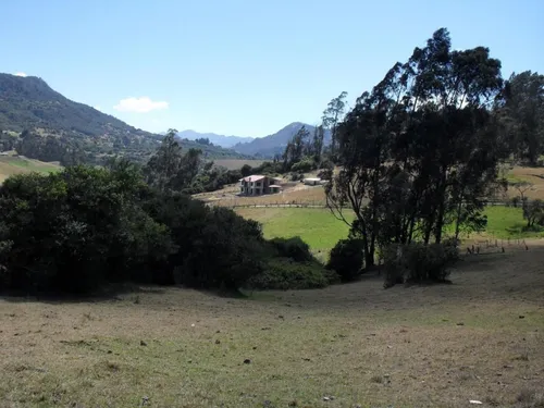 Lote En Venta En La Calera. Cod V1614270