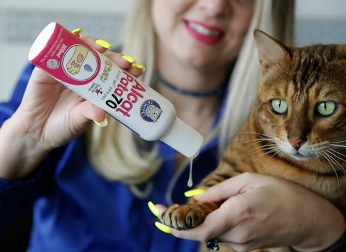 Alcat Pata 70 - Álcool Gel Para Pets Cachorros E Gatos Fragrância Baunilha E Lavanda