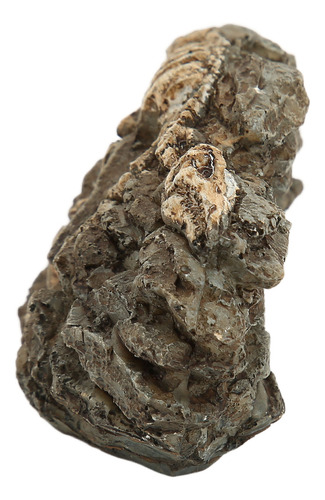 Adorno De Resina Para Acuario Con Diseño De Fósil De Dinosau