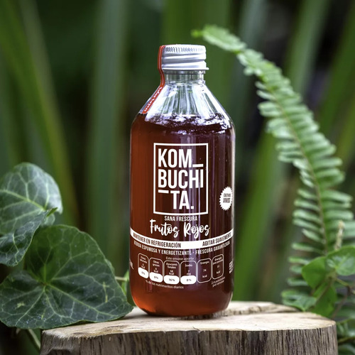 Te Kombucha Frutos Rojos Pack 12 Botella 240 Ml Kombuchita