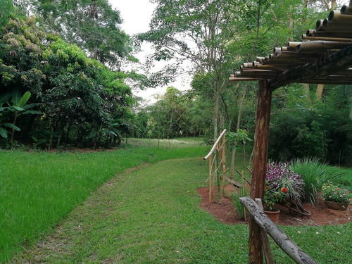 Imagen 7 de 9 de Visite Parque Kunu¿u Renda, A 7 Km. De Caacupé