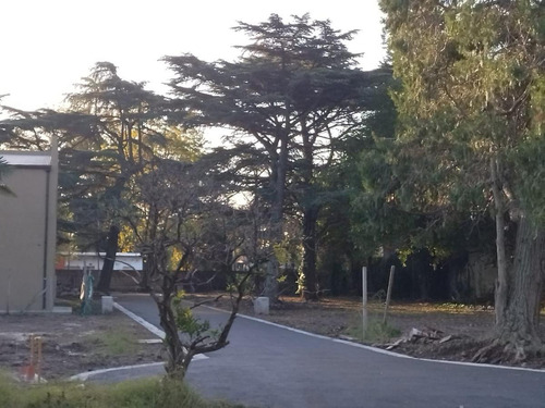 Imagen 3 de 14 de Terreno - Barrio Parque Leloir