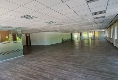Imagen 7 de 7 de Oficina En Alquiler | Puerto León | 1 Piso - 1.381 M²