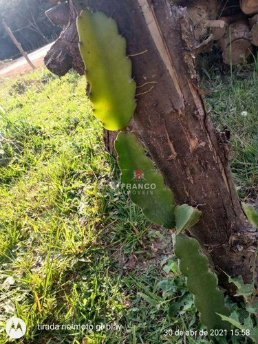 Imagem 4 de 29 de Chácara Com 3 Dormitórios À Venda, 1342 M² Por R$ 265.000,00 - Zona Rural - Munhoz/mg - Ch0155