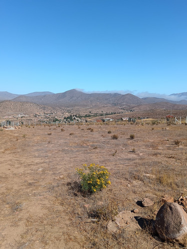 Terreno De 5000 Mts Cuadrados 
