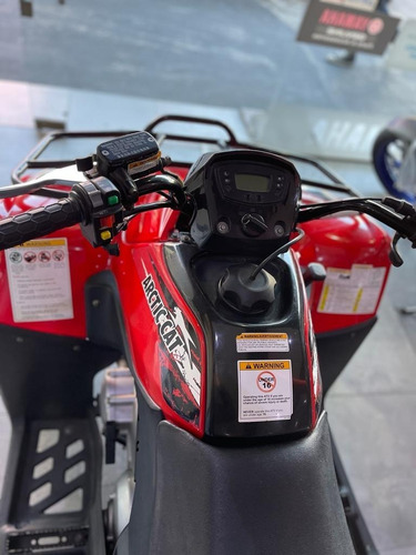 Imagen 14 de 22 de Artic Cat 300 - Usado - Motos M R
