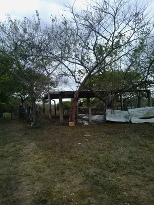 Rancho en venta
