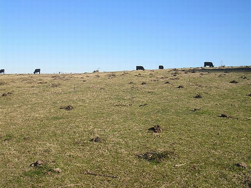 Estancia En Treinta Y Tres Ref. 332