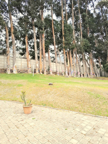 Casa En Agradable Condominio/ Cerro Grande