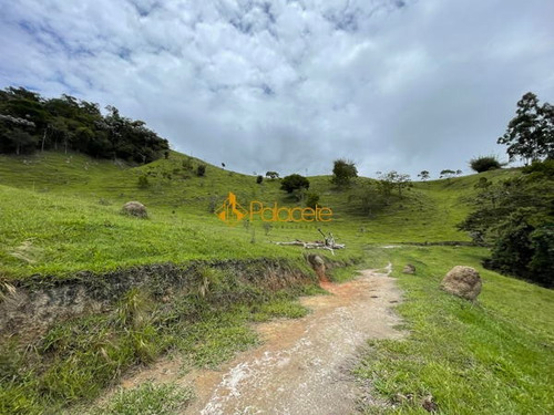 Imagem 15 de 16 de Rural Comercial - 366000-v