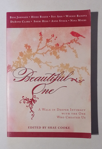 Beautiful One : A Walk In Deeper Intimacy With The One Who C