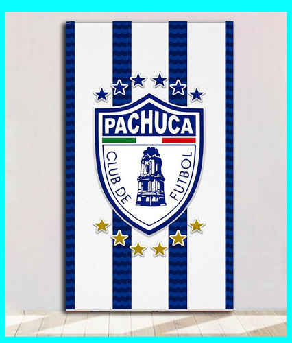 Cuadro Decorativo Pachuca Fc 29x50 Cm Pachuca Escudo Tuzos 