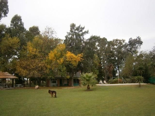 Venta - Casa Quinta Llamada La Deseada De 4 Ambientes