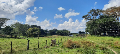 Imagen 7 de 14 de Se Vende Finca 72 Has Orilla De Carretera Manzanita