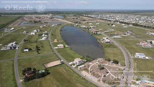 Lote Central En Venta De 1000, 75 Mts En Puerto Nizuc - Posesión Inmediata - Guillermo Hudson