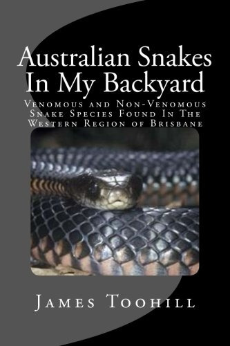 Australian Snakes In My Backyard Fascinating Fun Question An