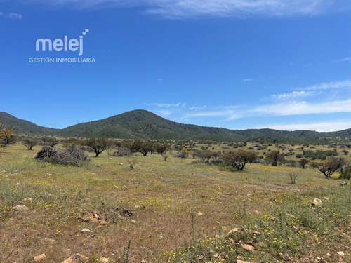 Venta De Parcelas Ecológicas, Reserva Zapallar