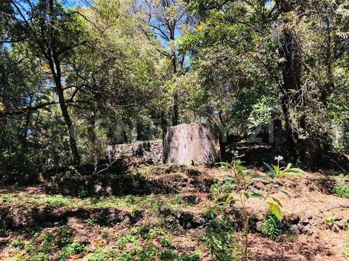 Terreno Venta Cocuatla Tepoztlan San Juan Tlacotenco Ocotes Tepoztlan Morelos
