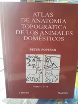 Comprar Atlas De Anatomía Topográfica De Los Animales Domésticos 