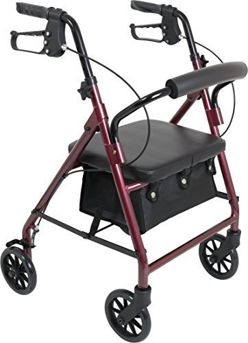 Andador Caminador De Aluminio Resistente Bariátrico 113 Kgs
