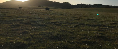 Chacras De 5 Hectareas Pueblo Eden Ruta 12 Punta Del Este