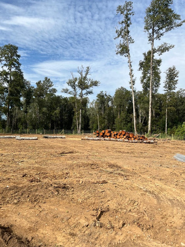 Parcela En Los Robles De Cayumapu