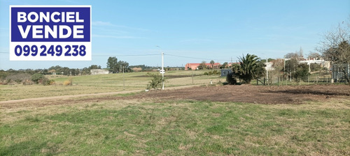 Amplio Terreno En Excelente Ubicación