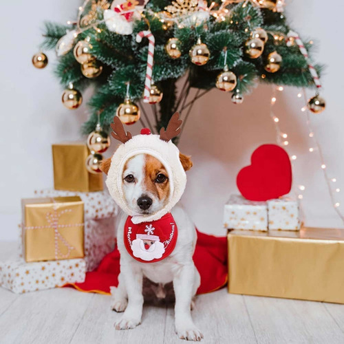 Disfraz Perro Reno Navidad Adecuado 2-8 Kg Caletines Polar