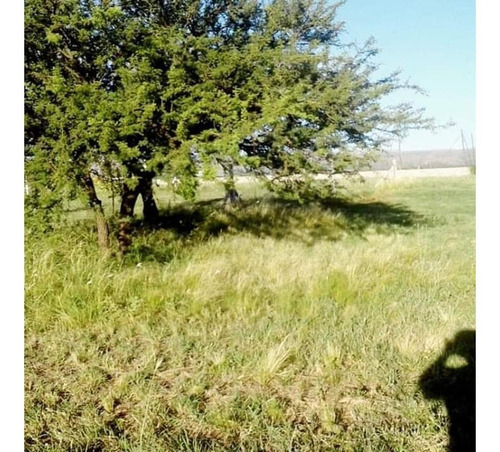 Lote En Barrio Privado