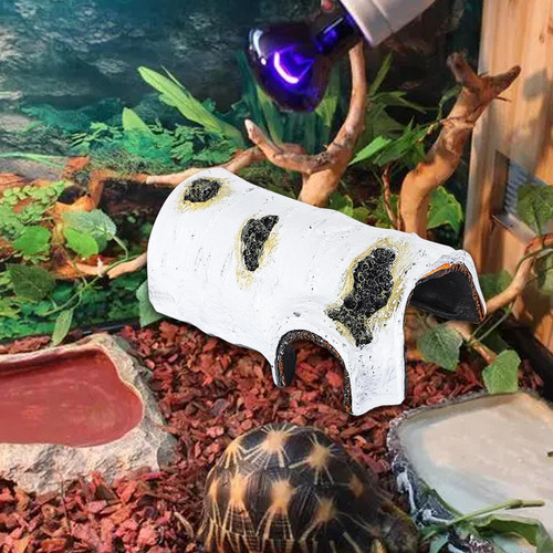 Muelle Para Reptiles Para, Rampa Para Escalar Estilo C