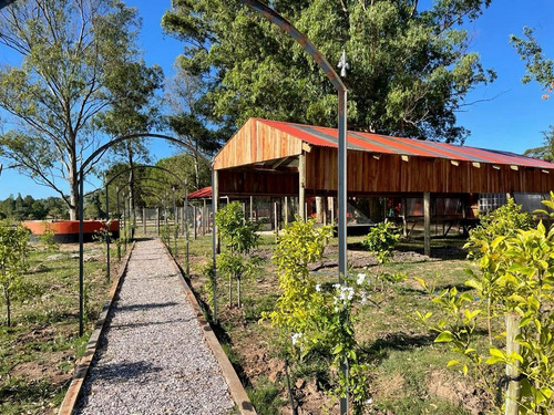 Imagen 14 de 16 de Venta! Terrenos En Nuevo Barrio Privado En La Barra