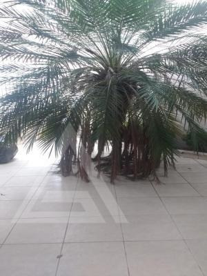 Imagem 14 de 15 de Ref.: 8058 - Casa Em Osasco Para Venda - V8058