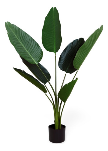Plantas Para Muros Verdes Exteriores