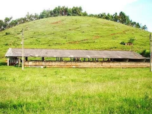 Imagem 4 de 7 de Sitio Em Minas Gerais Lugar Tranquilo E Ótimo Para Criar Gado - St-635