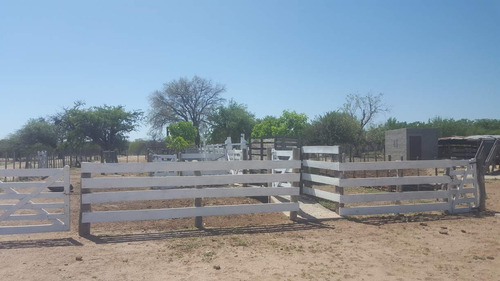 Campo En Venta Villa Quilino - Campo Ganadero Con 2 Casas