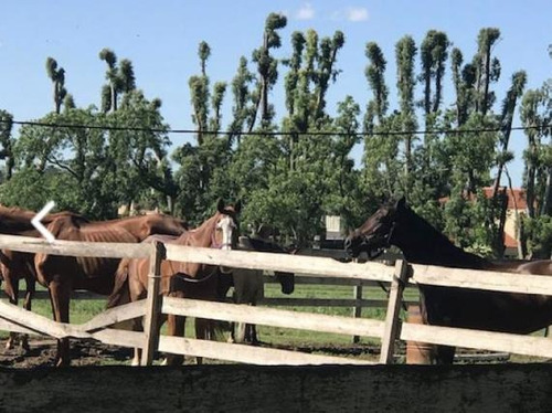 Imagen 6 de 17 de Lote En Venta Al Golf En Las Lomas Haras Santa Maria Escobar